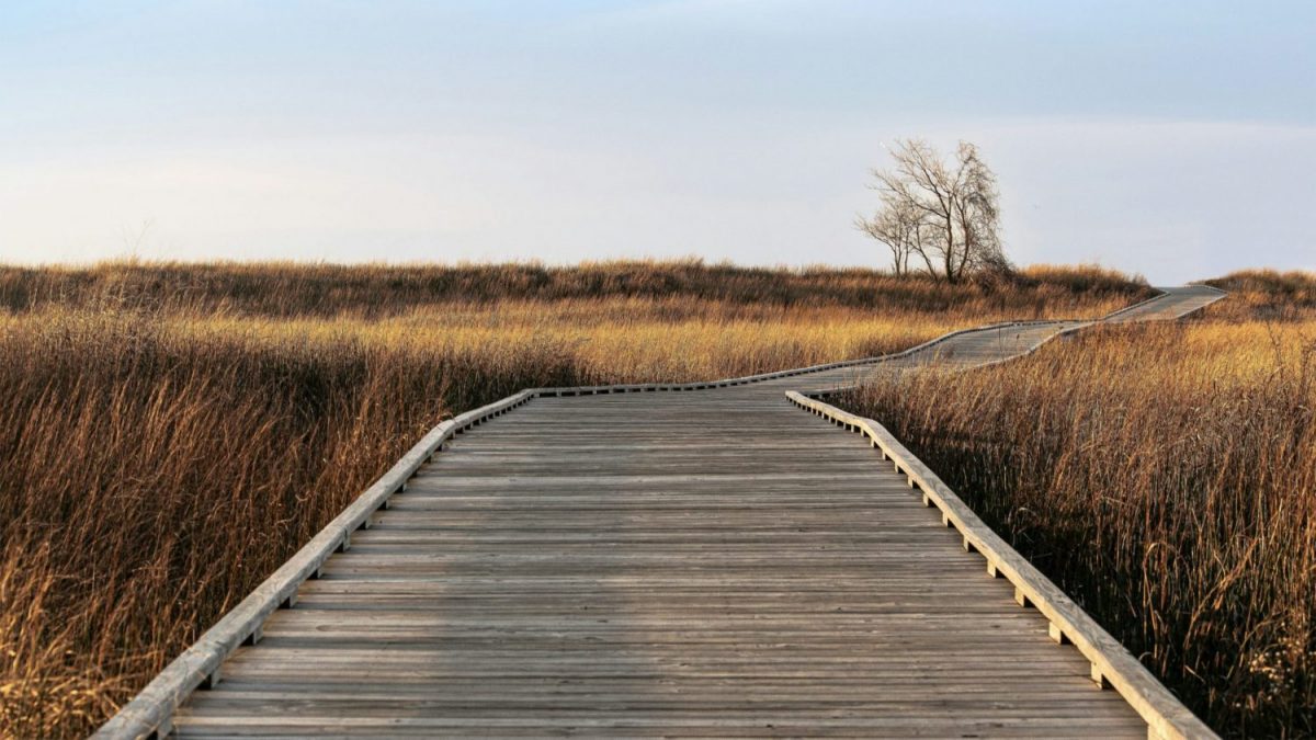 Ojalá hubiera tenido un mentor